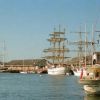 Newstead Tall Ships