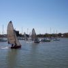 Skiffs - close racing around Bulimba Point