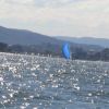 Skiffs on sparkling river