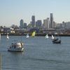 boats on Bulimba Reach